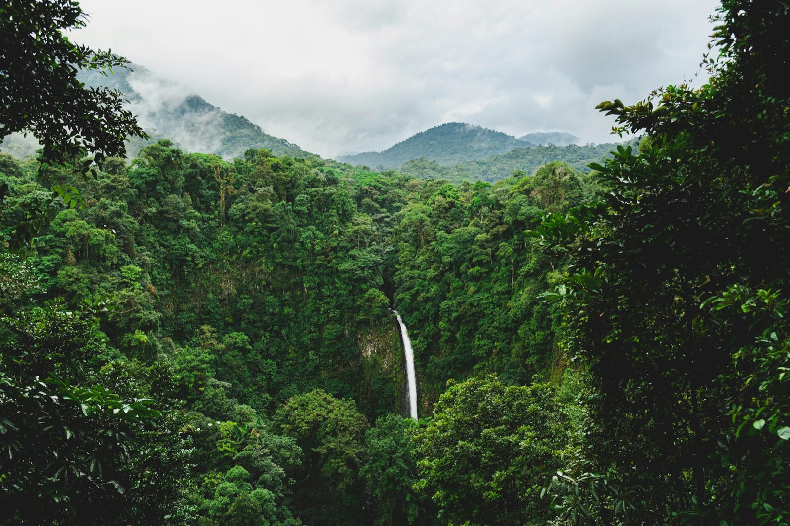 Majestic waterfall surrounded by dense Costa Rica rainforest