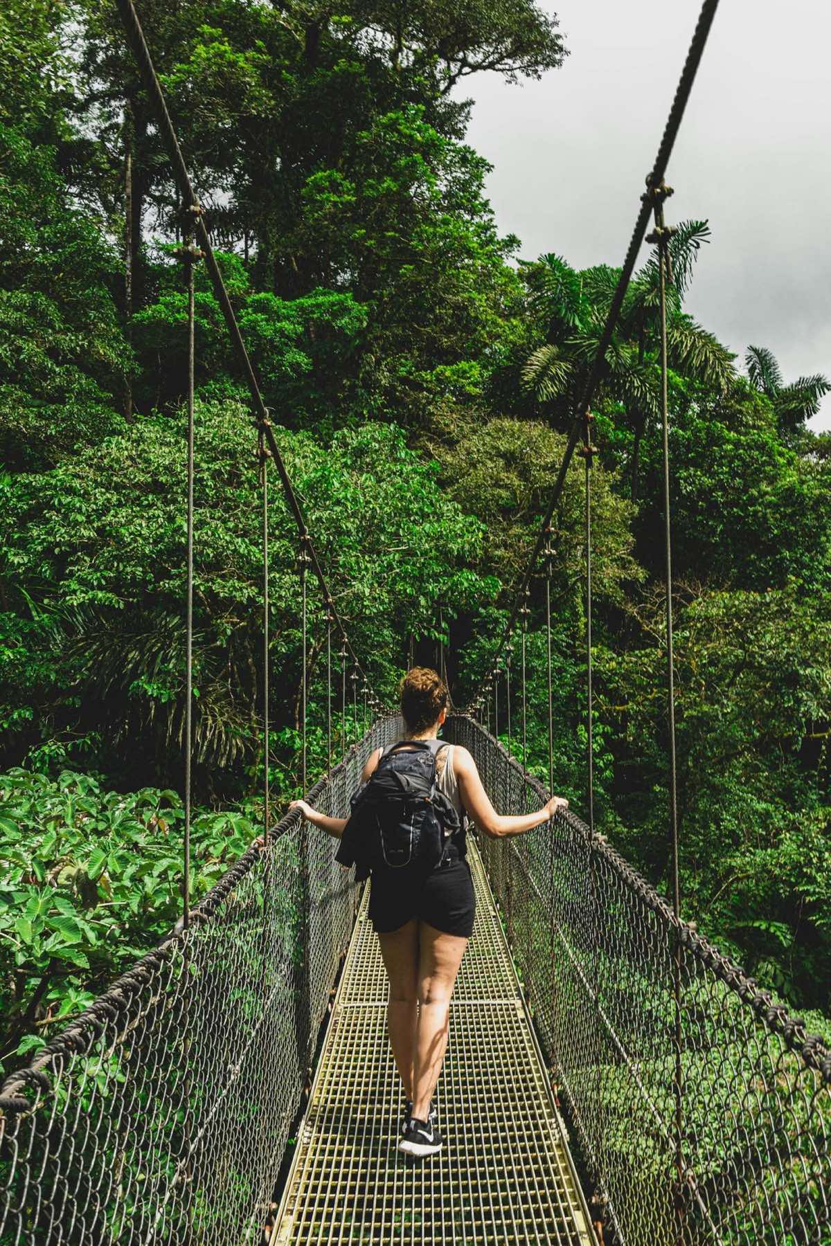 Hanging bridges through the Costa Rican rainforest canopy